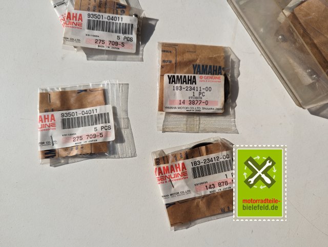 PXL_20240528_154259894